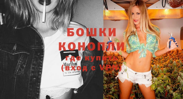 МДПВ Осташков