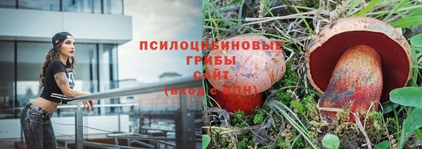 прущие крисы Аркадак