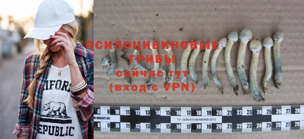 стаф Армянск