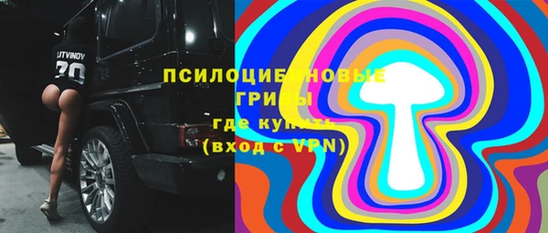 apvp Осинники